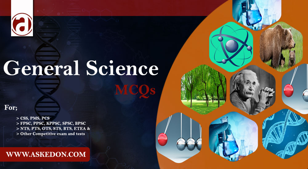 Caravan Computer Science Mcqs Pdf Askedon